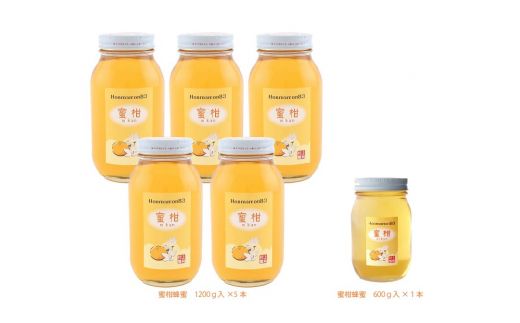 K469　蜜柑蜂蜜　１２００ｇ×５瓶　６００ｇ×１瓶　６６００ｇ　６．６ｋｇ 927191 - 和歌山県和歌山県庁