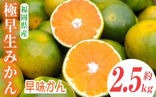＜先行予約受付中！2025年9月中旬～2025年9月下旬に順次発送予定＞極早生みかん 早味かん(約2.5kg)みかん ミカン フルーツ 果物 くだもの 柑橘 福岡限定 オリジナルブランド＜離島配送不可＞【ksg0117】【南国フルーツ】 326825 - 福岡県春日市