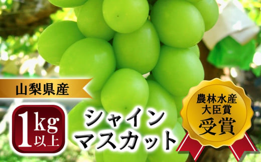 【農林水産大臣賞受賞】山梨県産シャインマスカット　2房　1kg以上　※2024年9月から発送 930266 - 山梨県大月市