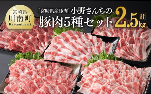 宮崎県産豚肉 小野さんちの豚肉５種セット” 2.5kg【 豚肉 豚 肉 宮崎県産 しゃぶしゃぶ 焼肉 セット 和洋中】