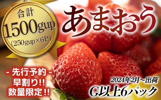 TY017 福岡県産 あまおうG以上 1500ｇ（6パック） 先行予約 2024年2月～3月上旬発送予定