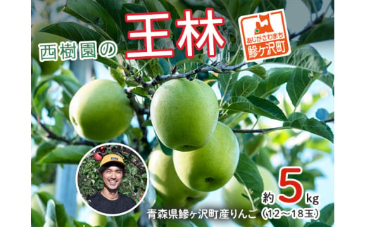 西樹園の王林 約5kg(12～18玉)　青森県鰺ヶ沢町産りんご