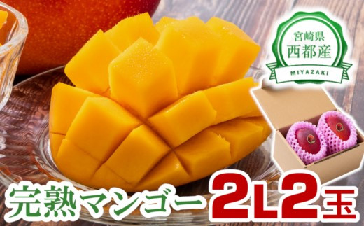  西都市産完熟マンゴー 2L×2玉 糖度12度以上【先行予約】＜1.3-6＞宮崎完熟マンゴー 果物 フルーツ 甘い 804353 - 宮崎県西都市