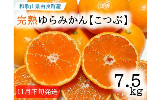 ★薄皮で濃い甘さ！完熟由良みかん【こつぶ】7.5kg×1箱（2Sサイズ）和歌山県由良産 479911 - 和歌山県由良町