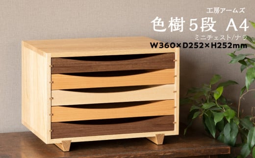 チェスト 5段 木製 レターケース A4 ナラ ■ 工房 アームズ ■ 926631 - 北海道東神楽町