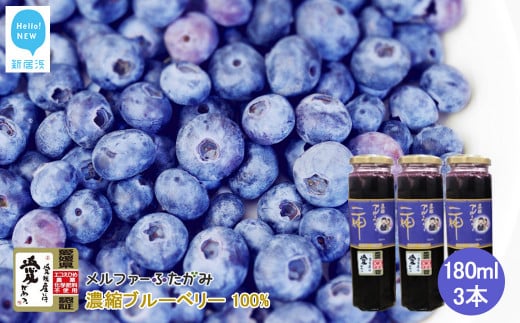 果汁 濃縮 ブルーベリー100％ 180ml 3本 セット エコえひめ認証栽培 国産 メルファ―ふたがみ