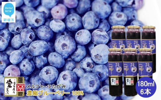 果汁 濃縮 ブルーベリー100％ 180ml 6本 セット エコえひめ認証栽培 国産 メルファ―ふたがみ