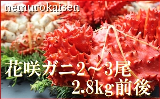 D-57029 【北海道根室産】花咲ガニ2～3尾(計2.8kg前後)(チルド便)