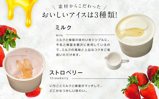 ASO ミルク アイス (阿蘇はちみつ入り) 3種15個セット (ミルク チョコレート ストロベリー 各5個)