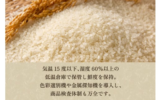 定期便6ヶ月毎月お届け】特別栽培米 コシヒカリ 玄米 20kg（5kg×4