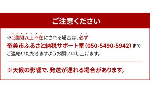 期間限定受付!!】奄美産すもも お試し用 約900g スモモ 奄美