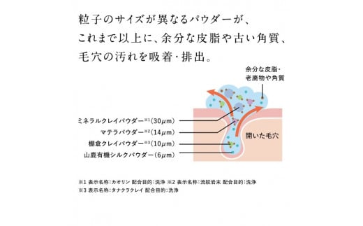 再春館製薬所 ドモホルンリンクル W洗顔 セット 化粧落とし ジェル