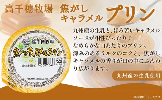 高千穂牧場乳製品セット_MJ-1614_ (都城市) 高千穂牧場 乳製品