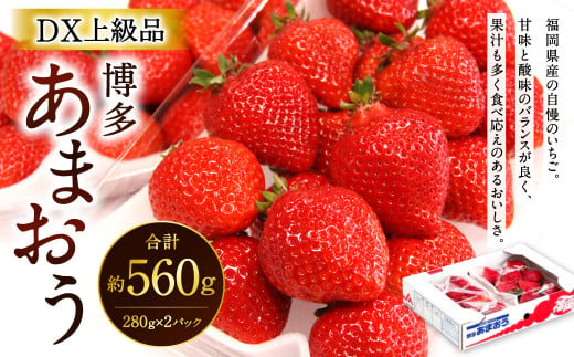 【2023年12月上旬より順次発送】福岡県産 博多あまおう DX上級品 約560g (約280g×2パック入り) いちご 苺 果物 フルーツ