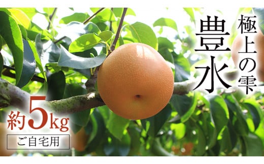 極上の雫 『 豊水 』 5kg ( 自家用 ) フルーツ 果物 国産 日本産 梨 ナシ なし 和梨 [DJ002ci]