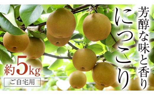 芳醇な味と香り 『 にっこり 』 5kg ( 自家用 ) フルーツ 果物 国産 日本産 梨 ナシ なし 和梨 [DJ004ci]