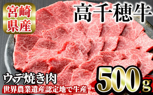 高千穂牛 ウデ焼き肉(500g)【MT001】【JAみやざき 高千穂牛ミートセンター】