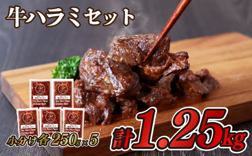 V206 【濃厚 厚切り ! 味付け肉】牛ハラミセット(1.25kg)／ 長崎 豊味館