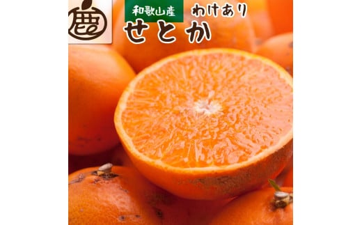 ＜2月より発送＞家庭用 せとか2kg+60g（傷み補償分）【柑橘・春みかんの王様】【わけあり・訳あり】【光センサー選別】 485544 - 和歌山県由良町