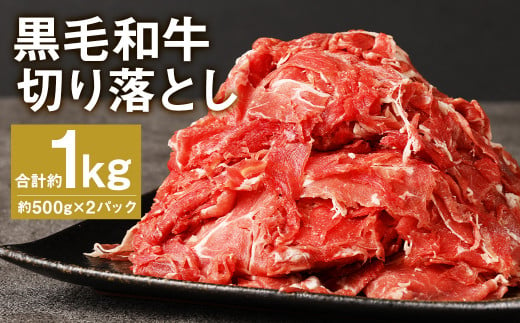 黒毛和牛 切り落とし 約1kg 500g×2パック 牛肉  990269 - 熊本県菊池市