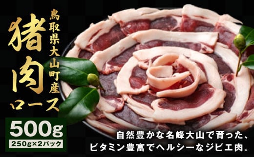 GB-09　猪肉　ロース　500g（250g×2パック） 866351 - 鳥取県大山町