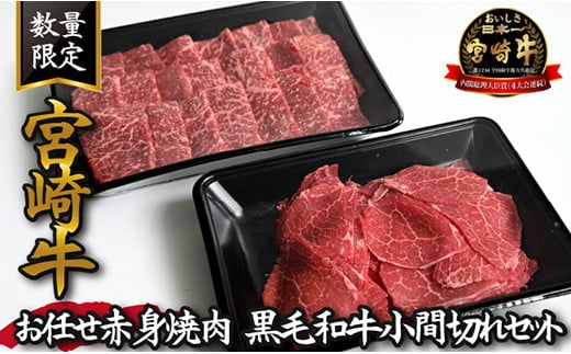 【特別提供品】宮崎牛お任せ赤身焼肉と黒毛和牛小間切れセット