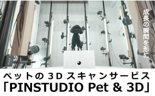 ペットの３Dスキャンと３Dフルカラープリントによる造形（フィギュア）長辺７cm 1229434 - 東京都中野区
