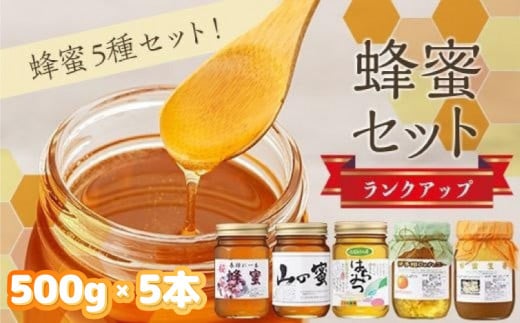 ランクアップ蜂蜜セット 588000 - 愛媛県松山市