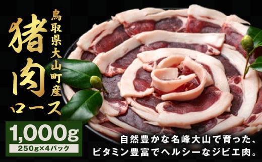 GB-10　猪肉　ロース　1kg（250g×4パック） 866352 - 鳥取県大山町