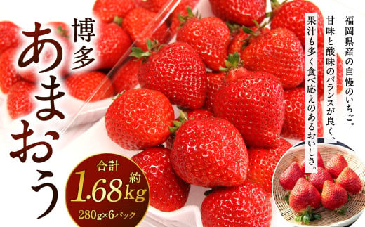 【2024年1月～3月発送】福岡県産 博多あまおう 約1.68kg (約280g×6パック入り) いちご 苺 果物 フルーツ