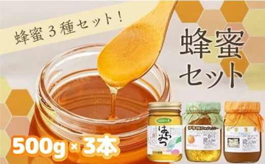 蜂蜜セット 587999 - 愛媛県松山市