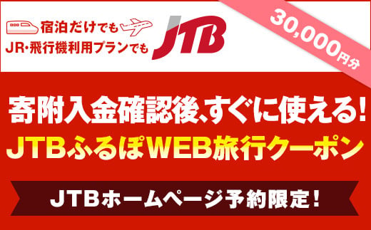 【熊本県内の旅行に使える】JTBふるぽWEB旅行クーポン（30,000円分）