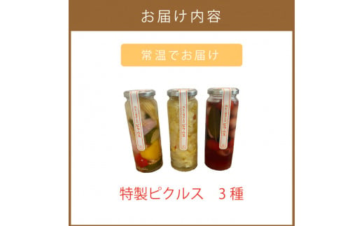 カレー専門店がお届けする特製ピクルス 3個 ( ピクルス 玉ねぎ