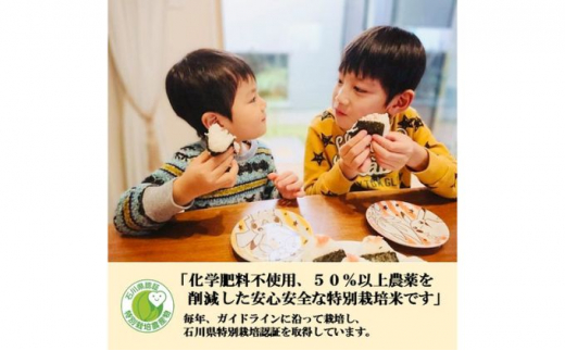 №5784-0303]【日本農業賞大賞】特別栽培米コシヒカリ4.5kg精白米