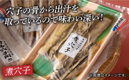 【全12回定期便】対馬 穴子 セット 500g《対馬市》【海風商事】国産 九州 長崎 煮穴子 白焼き [WAD040]