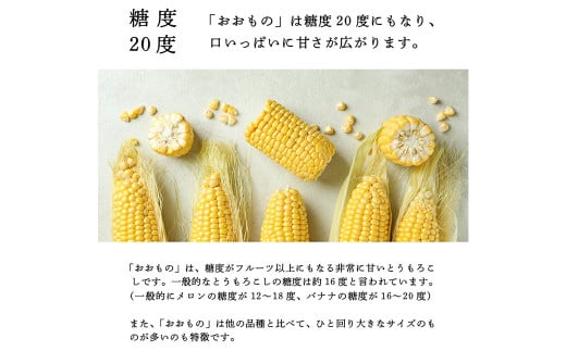福岡県産 SDGs米糠堆肥で作った メロンより甘い「博多あまっコーン(おおもの)」4.5kg以上 (約10～15本)