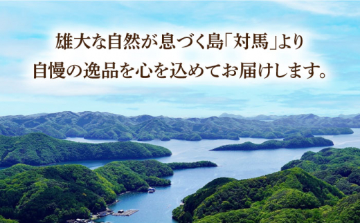 【全12回定期便】対馬 穴子 セット 500g《対馬市》【海風商事】国産 九州 長崎 煮穴子 白焼き [WAD040]|海風商事