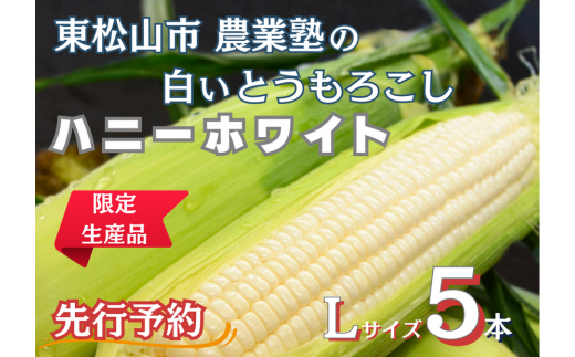 東松山市で農業の担い手を育成する、農業塾。塾生の想いが詰まった美味しい白とうもろこし『ハニーホワイト』をお届けします！