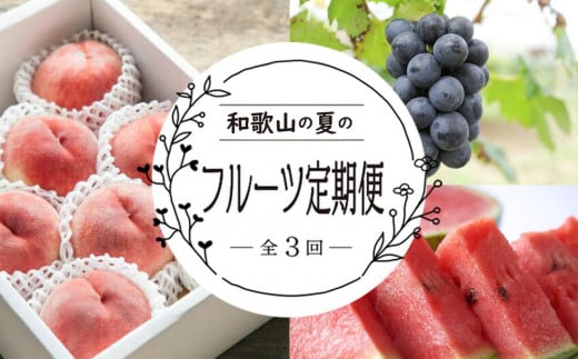 定期便全3回　和歌山の人気の夏のフルーツをお届け！ 929008 - 和歌山県九度山町