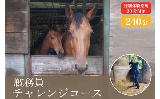 EY-2　厩務員チャレンジコース（240分）特別体験乗馬(30分)付き。 930296 - 茨城県水戸市