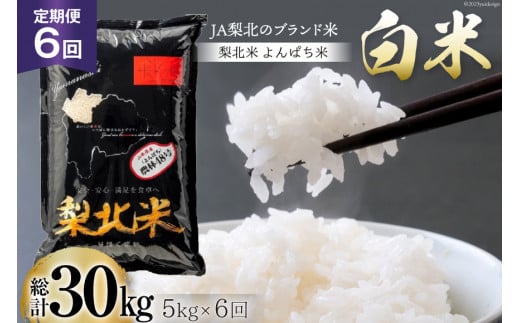 【定期便】【6回 米 定期便 】梨北米 農林48号 5kg×6回 総計30kg [梨北農業協同組合 山梨県 韮崎市 20742748] お米 おこめ こめ コメ 精米 30キロ ご飯 ごはん 白米 国産 JA梨北 929310 - 山梨県韮崎市