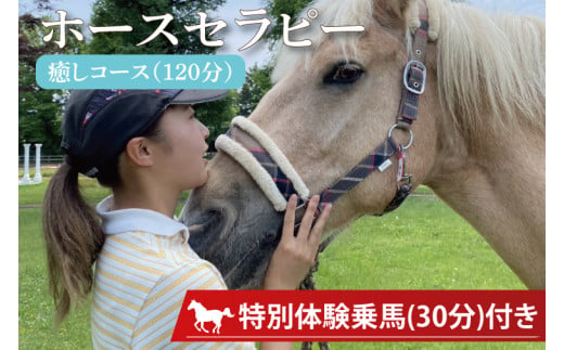 EY-1　ホースセラピー・癒しコース（120分）　乗馬(30分)付き 930294 - 茨城県水戸市