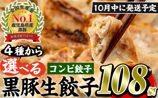 No.429-c-2410 ＜2024年10月中に発送予定＞鹿児島黒豚使用の黒豚コンビ餃子(計108個・黒豚：12個入り×4パック、もちっと：15個入り×4パック)国産 九州産 ぎょうざ ギョウザ 冷凍 黒豚 豚肉 お肉 おかず【末永商店】