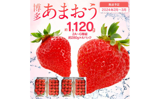 【2024年2月～3月順次発送予定】 あまおう 合計約1,120g 約280g×4パック 