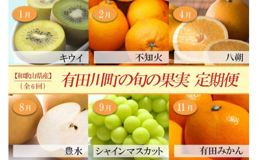 【定期便全6回】 有田川町の旬のフルーツをお届け！