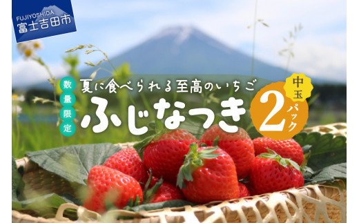 数量限定！夏いちご】夏に食べられる至高のいちご ふじなつき(中玉