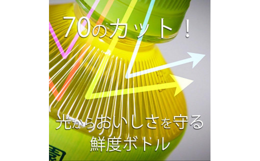 お～いお茶 緑茶 600ml×２ケース（48本） - 兵庫県神戸市｜ふるさと