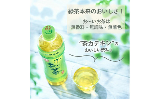 お～いお茶　緑茶　600ml×２ケース（48本） - 兵庫県神戸市｜ふるさとチョイス - ふるさと納税サイト