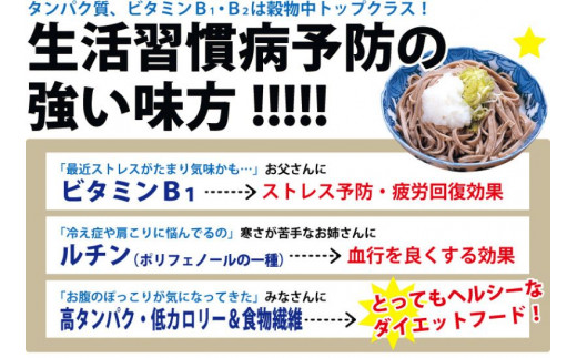 越前そば 生蕎麦 10食つゆ付き【そば 越前蕎麦 贈り物 熨斗 冷蔵】[A