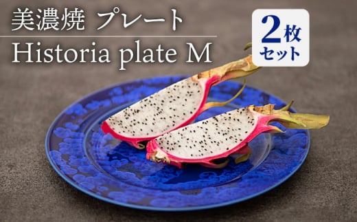 【美濃焼】 プレートM 2枚セット Historia plate M pair set   食器 器 うつわ 多治見市/柴田商店  [TAL065] 930661 - 岐阜県多治見市